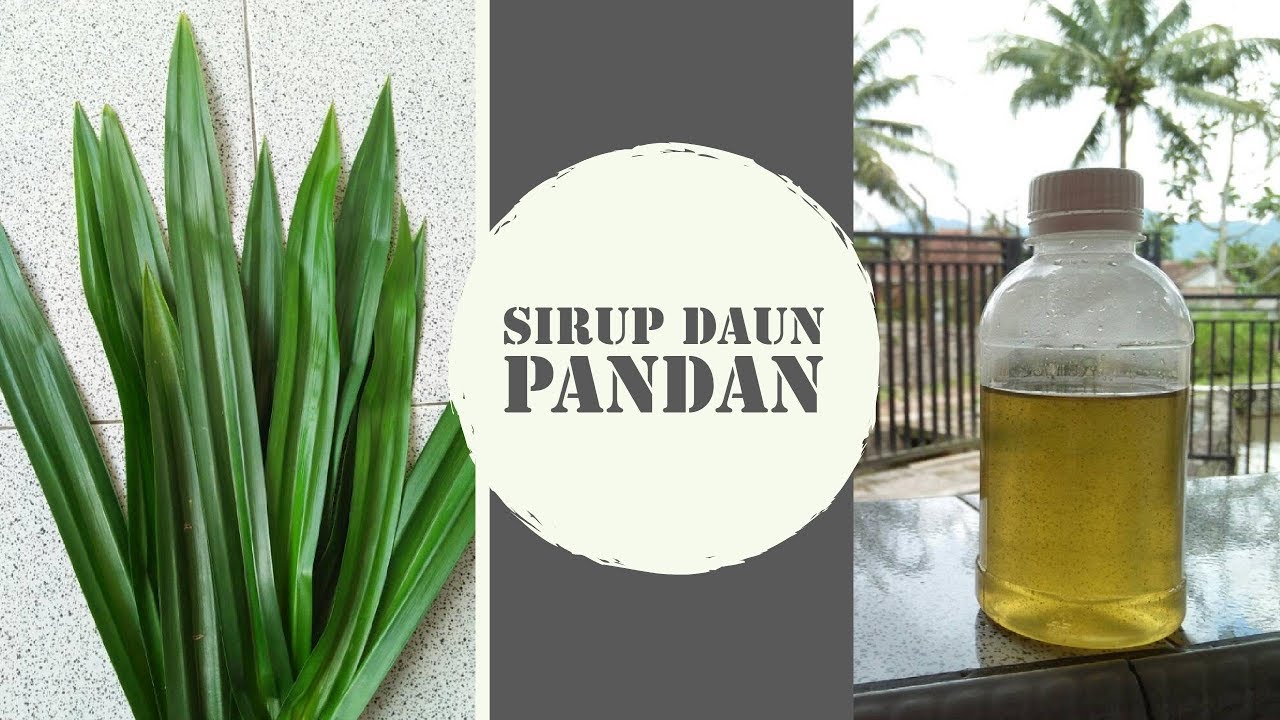 #TugasPraktikum | Pembuatan Sirup Daun Pandan 