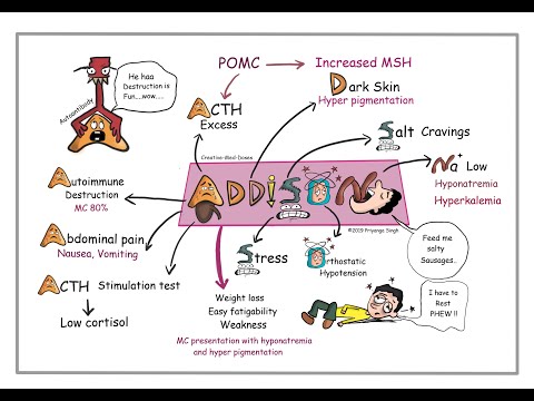 Vidéo: Enfermedad de Addison