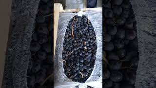 виноград кишмиш без костечка Узбекистана.