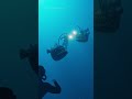 the deep ocean is not meant for humans  ib  @lights are off #cg #cgi #thalassophobia #horror #shorts