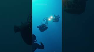 the deep ocean is not meant for humans  ib  @lights are off #cg #cgi #thalassophobia #horror #shorts