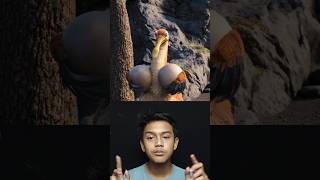 KETIKA SEMUA BURUNG BERHAMBURAN PERGI