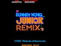 Donkey Kong Junior Remix