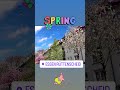 Essen 🇩🇪 Rüttenscheid 🌳Langenbeckstraße 🌸 Spring 2023 🥰 Explore City 💁🏻‍♀️ movement everyday
