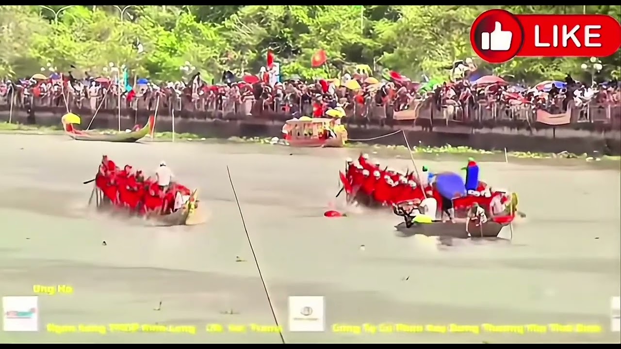 Ông kho và tam sóc đẹp