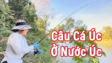 Câu Cá Úc Ở Nước Úc#fishing#Australia Road Trip Ep.19