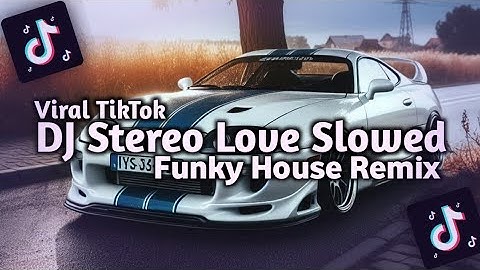 DJ Stereo Love Slowed Full Song || Funky House Remix || Viral Tiktok 2025