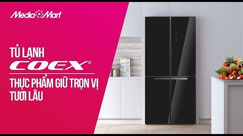 Tủ lạnh Side by side Inverter Coex 546 lít: Thực phẩm tươi lâu (RS-4001MSG) - Điện máy MediaMart