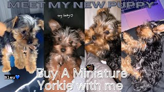 VLOG * Come with me to buy a new yorkie puppy 🐾 + amazon unboxing