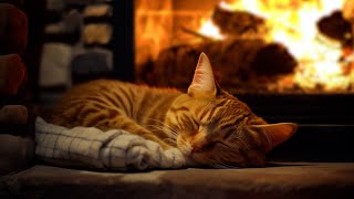 ASMR for Good Sleep, Relaxation 🐱 Purring Cat and Fireplace In Cozy Winter Ambience