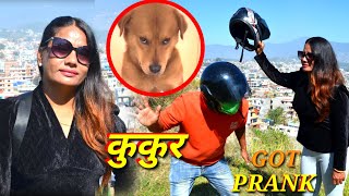 New nepali prank कुकुर got prank पूजा तामाङ prank dipak lama