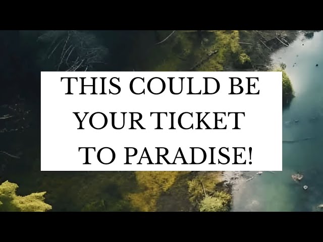 🌴 THIS COULD BE YOUR TICKET TO PARADISE * JANNAH! … | Mufti Menk class=