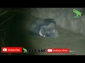 Baby elephant and  Mother elephant RESCUED FROM AN AGRO WELL