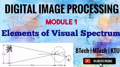 KTU CS463 DIGITAL IMAGE PROCESSING | Module 1 | Elements of Visual Spectrum | BTech - KTU