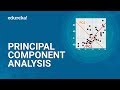 Principal Component Analysis in Python | Basics of Principle Component Analysis Explained | Edureka