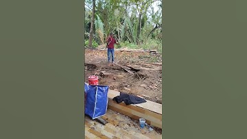 Điểm Câu Cá Ngát Toàn cá lớn