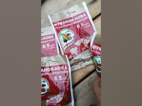 Фуфаноном по долгоносику на клубнике! - YouTube