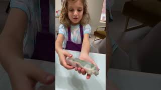 Celebrity How to make spring rolls 2 - the sequel Net Worth