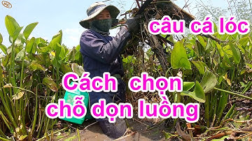 Chọn chỗ dọn luồng như thế nào mới có cá