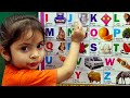 apple ball cat dog elephant fish gorilla hat a for apple b for badka apple | abcd phonics song abcd