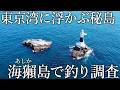 東京湾に浮かぶ謎の島［アシカ島］都会の秘境で釣りをすると大物が入れ食いになる楽園だった…