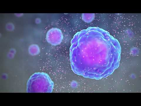 Types of Immune Cells Part 1: Immune Cell Function