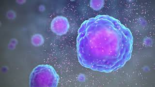 Types of Immune Cells Part 1: Immune Cell Function