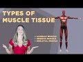 Types of Muscle Tissue: Cardiac, Smooth, Skeletal