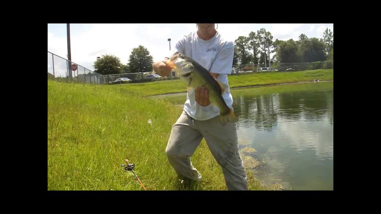fishing a wal mart retention pond YouTube