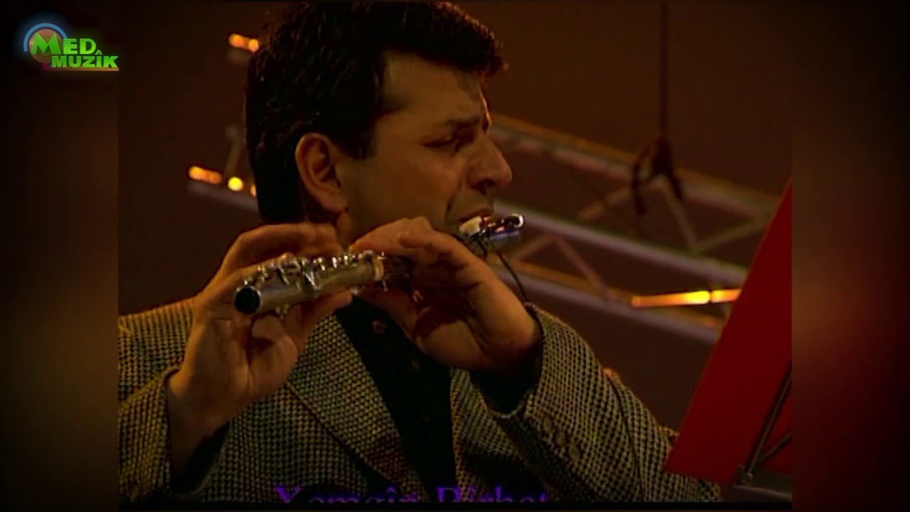 Xemgin Birhat - Em Têne Kuştin