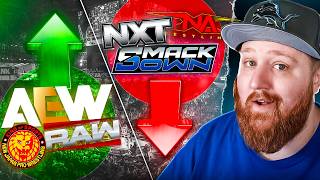 Celebrity The Current State of EVERY Pro Wrestling Promotion (with @JohnboyBebop) Profile