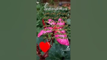 سورة الماعون