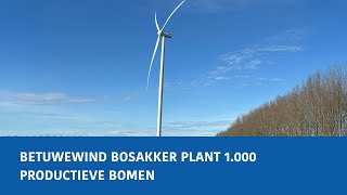 Download Lagu AgroforestryBlueprint deel 23: Betuwewind Bosakker plant 1.000 productieve bomen MP3