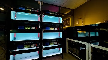 Khái Niệm Trải Nghiệm Và Lâu Dài | Review Trải Nghiệm Huyết Đuôi Càng 