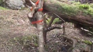 Swamp Fire For Wet Or Cold Ground