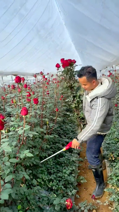 Flower picking tool: Easily and safely harvest flowers while keeping them fresh and beautiful.