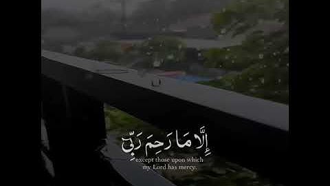 آيات القرآن الكريم (4)