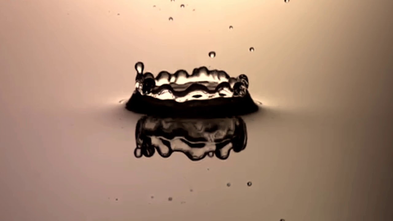 Watch Pedro Meirelles | KOI on YouTube Watch Pedro Meirelles | KOI on YouTube