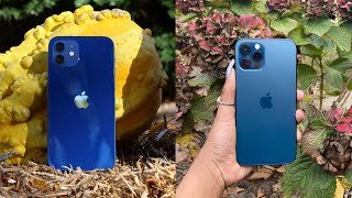 iPhone 12 vs. iPhone 12 Pro: Which should you buy?