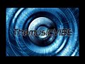 ThemusicVIBE - Life Is A Flower 2007 / In the style of: Ace Of Base (Discofreakz Remix)