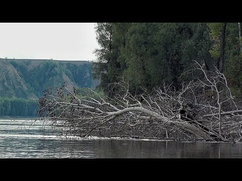 ДА НЕ БЫВАЕТ ЖЕ ТАК!!! ПОД ЭТОЙ КОРЯГОЙ ОДНИ МОНСТРЫ!!!! Джиг с лодки в коряжнике!