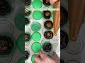Green macaron with chocolate ganache, caramel center & nutty finish. #macarons #chocolate #caramel