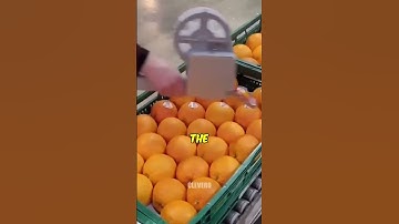 Random Crazy Facts 👀 #shorts