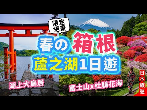 春の箱根蘆之湖1日遊[4K]🤩2大絕景: 富士山x杜鵑花海｜必到! 箱根神社湖上大鳥居⛩️ #日本旅遊 #箱根 #蘆之湖