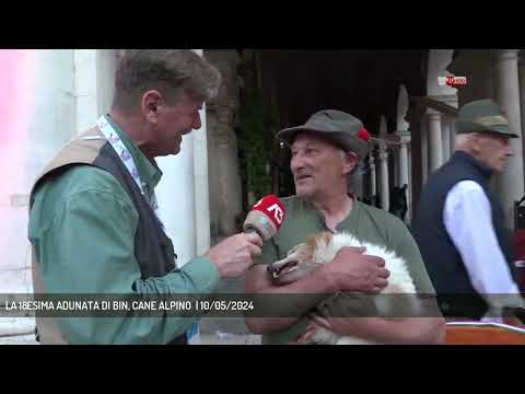 LA 18ESIMA ADUNATA DI BIN, CANE ALPINO  | 10/05/2024