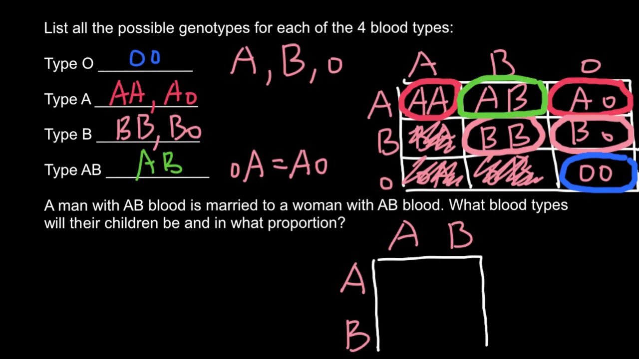 Abo Blood Types Practice Problems Answers Quizlet