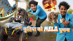 बेटी कुतिया? को Mela घुमाया? #comedy #dog