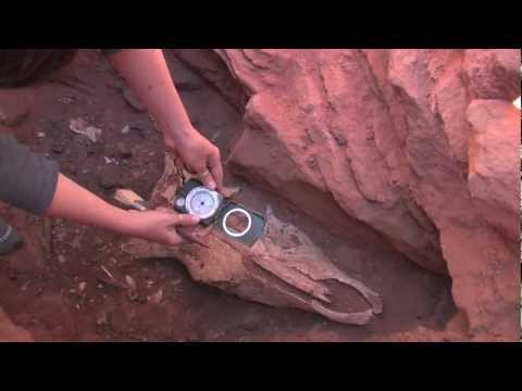 Deserto Messak Settafet e le civiltà pastorali del Sahara