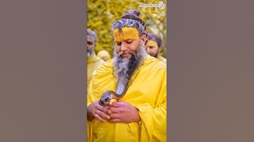 Radhe Radhe All Over World / Brindavan to Mayapur ISCKON // #brindavan #isckon#harekrishna