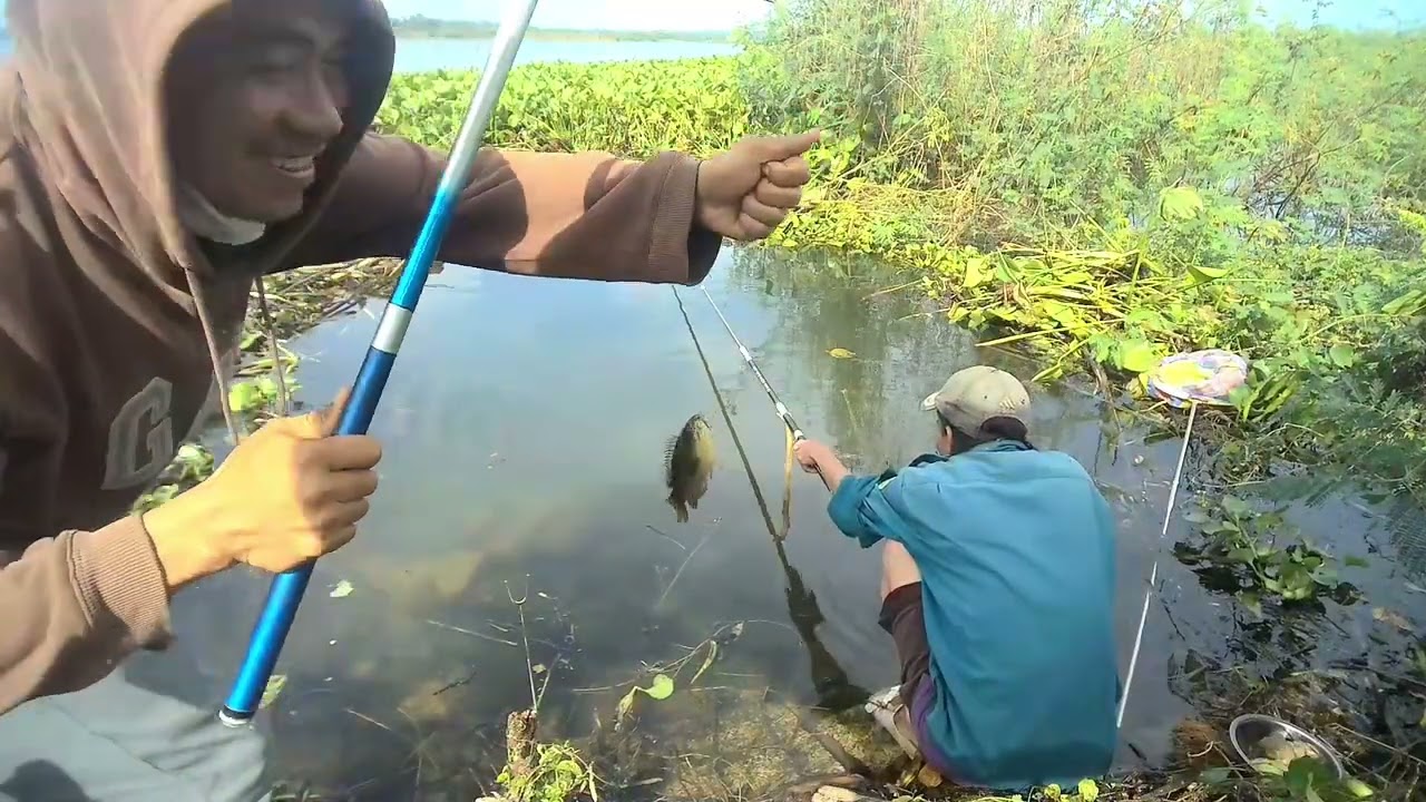 Làm gì mà lỏ Hoài đúng không ae#hanhtrinhtheochanthaylo#fishing #cauca #vlog 